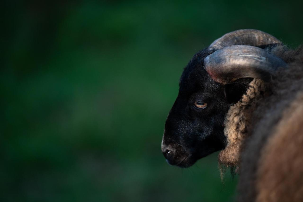 Ecogranja Sierra Hermosa Cecenas エクステリア 写真