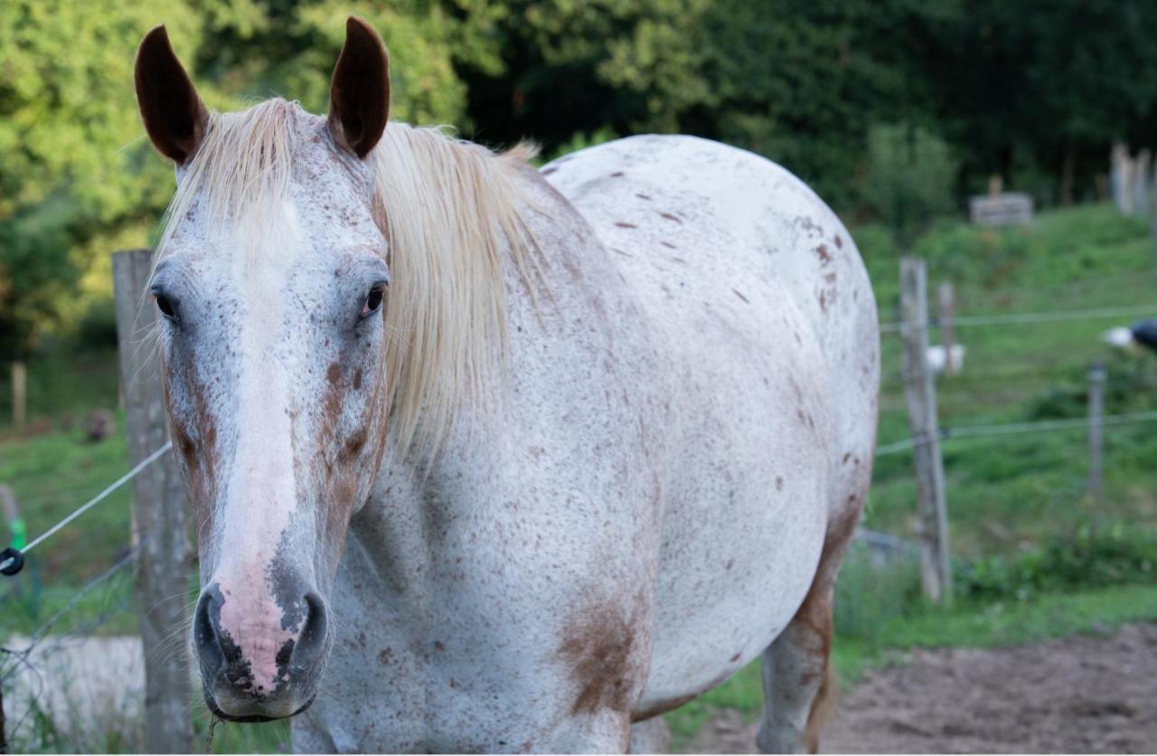 Ecogranja Sierra Hermosa Cecenas エクステリア 写真